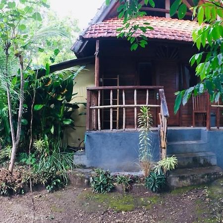 Echo Alam Nusa Lodge Ped 외부 사진