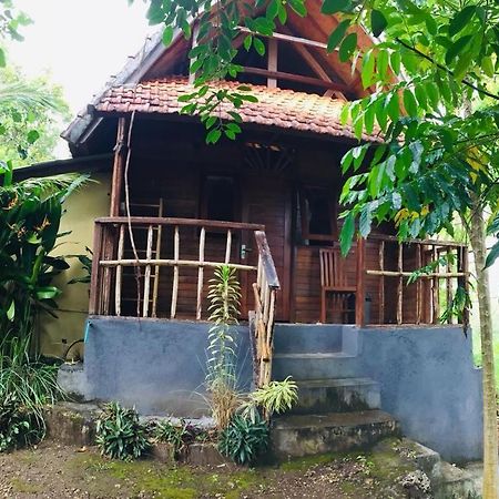 Echo Alam Nusa Lodge Ped 외부 사진